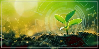 Agriculture Advisory Services